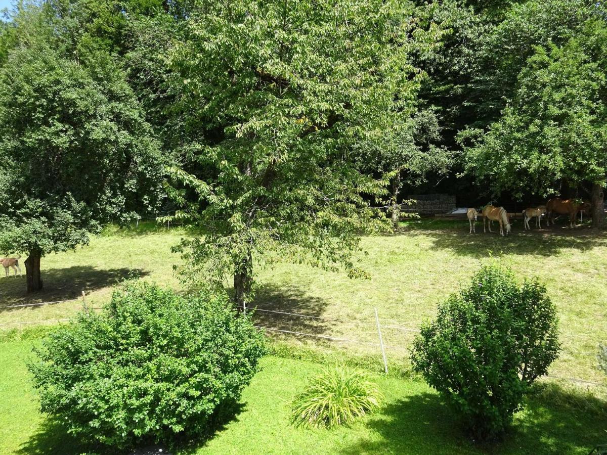 Ferienwohnungen Auhaus Bad Reichenhall Dış mekan fotoğraf