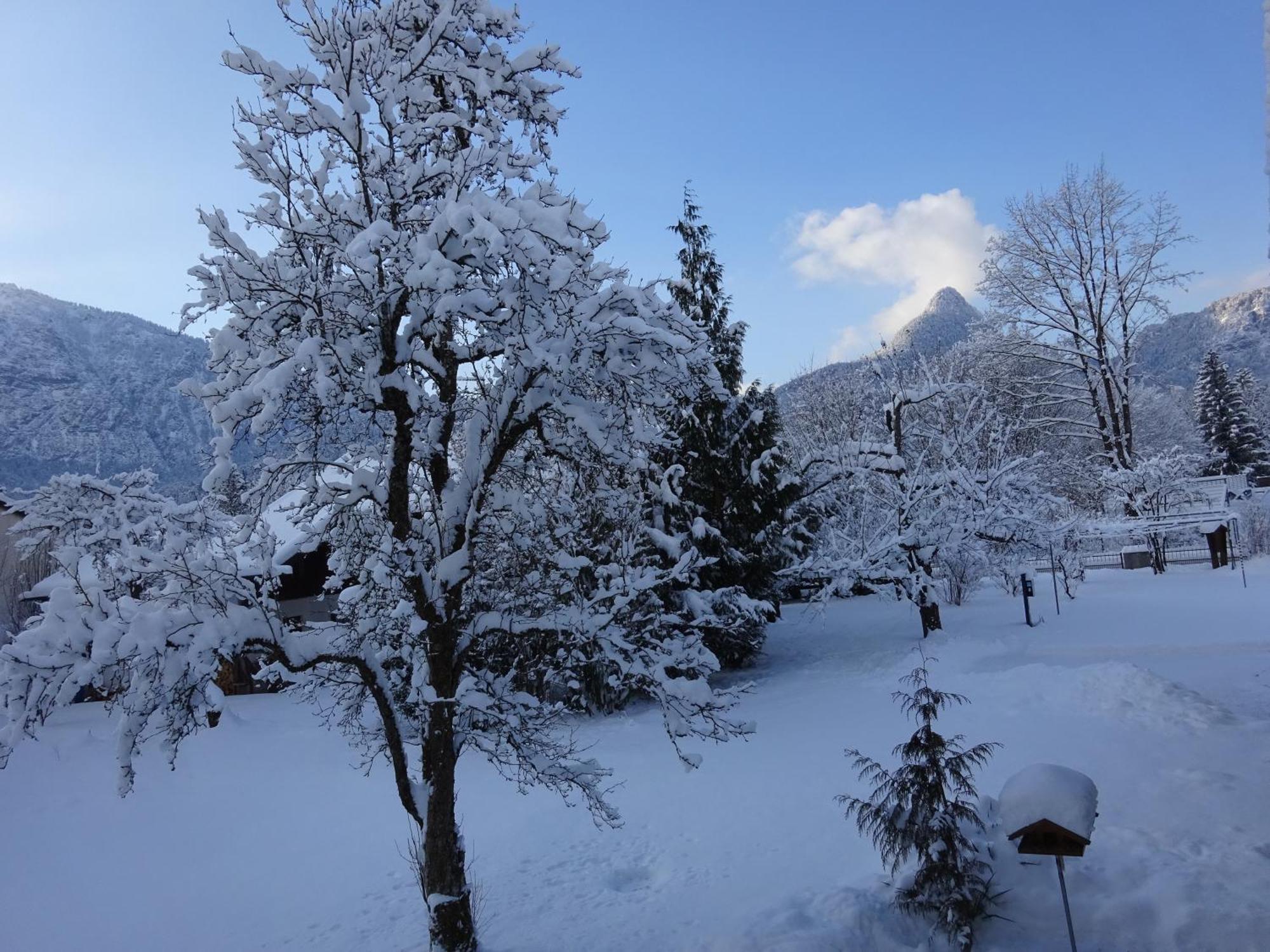 Ferienwohnungen Auhaus Bad Reichenhall Dış mekan fotoğraf