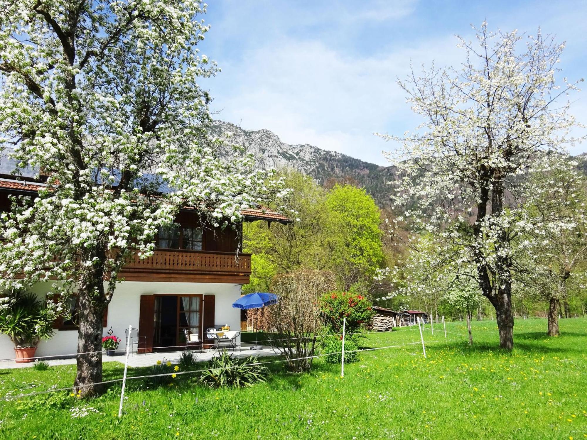 Ferienwohnungen Auhaus Bad Reichenhall Dış mekan fotoğraf